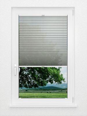 Preview Plissee Pour 31.12.12 1