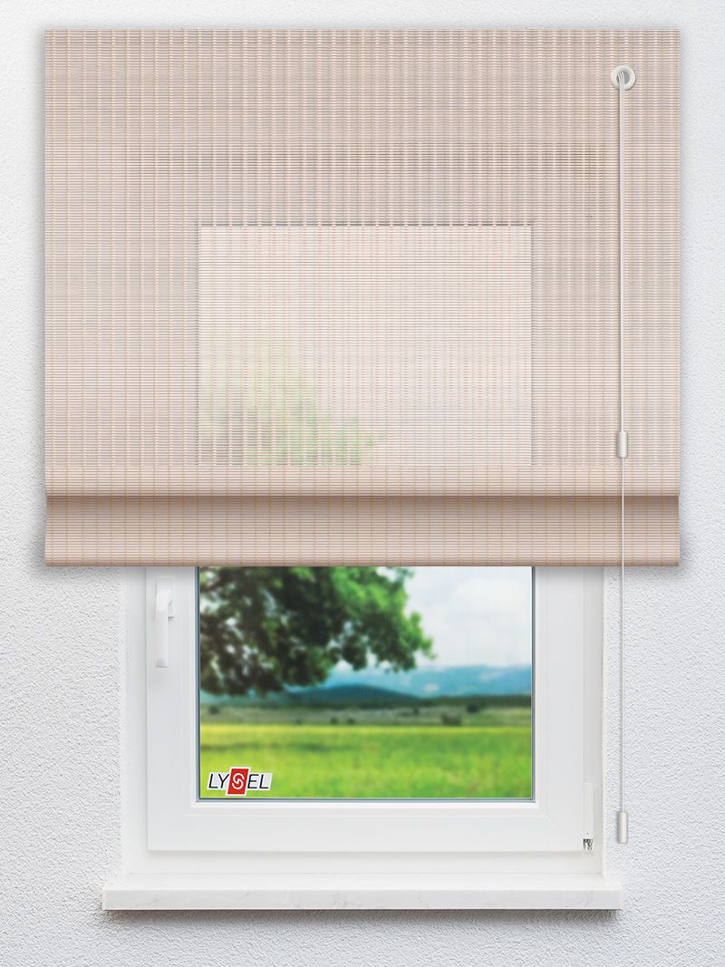 R3017 Fensteransicht