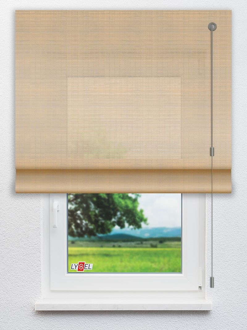 R4017 Fensteransicht