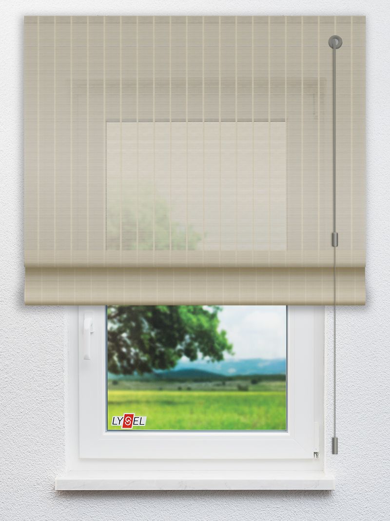 R1.777 Fensteransicht