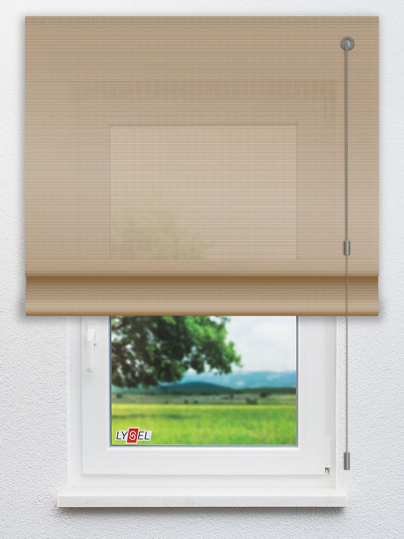 R2.787 Fensteransicht