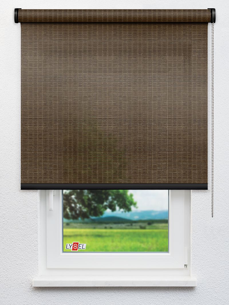 R6017 Fensteransicht