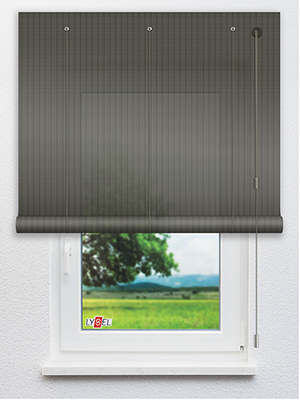 RAL 6008 THIN Fensteransicht