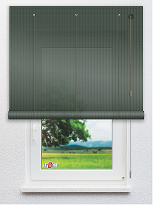 RAL 6009 THIN Fensteransicht