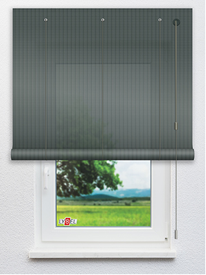 RAL 6012 THIN Fensteransicht