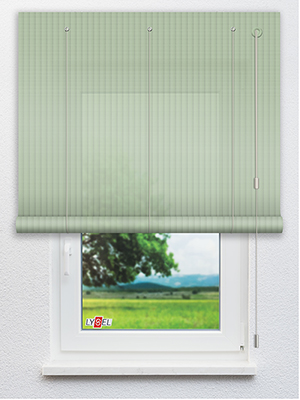 RAL 6019 THIN Fensteransicht