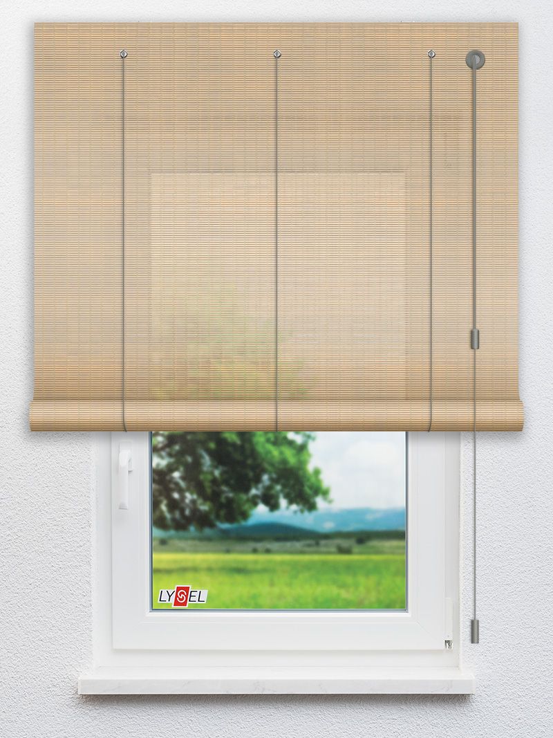 R4017 Fensteransicht