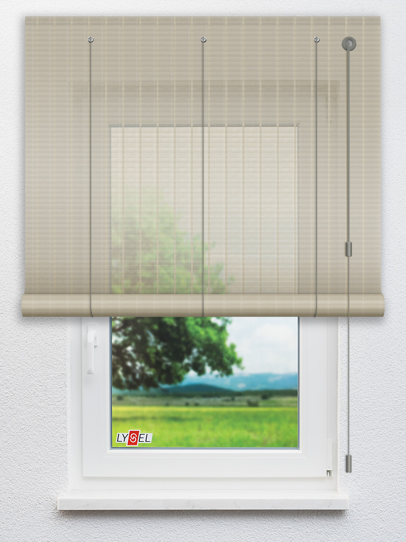 R1.777 Fensteransicht