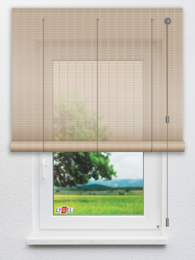 R2.777 Fensteransicht