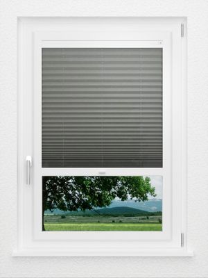 Preview LYSEL HOME Plissee 109A Crush 1