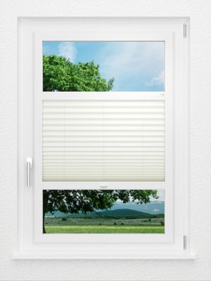 LYSEL HOME Plissee 307A Dorswin Smart Frame Fensteransicht