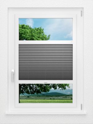 LYSEL HOME Plissee 302A Dorswin Smart Frame Fensteransicht