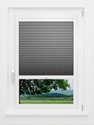 Preview LYSEL HOME Plissee 302A Dorswin 1