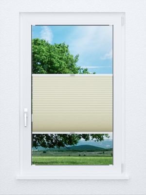 Wabe Sarnia 70.12.12 Fensteransicht