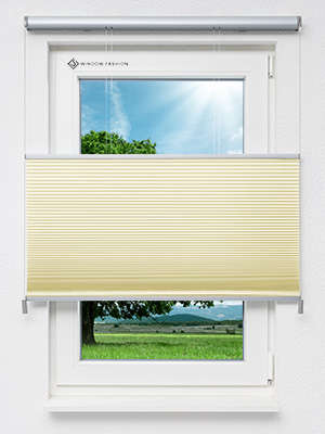 Wabe Sarnia 70.12.12 Fensteransicht
