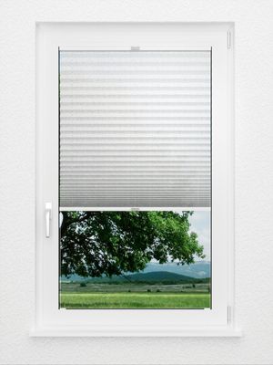 Preview Plissee Rameau 50.17.12 1