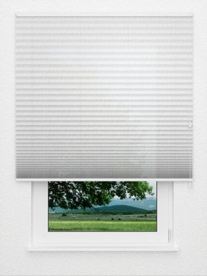Preview Plissee Rameau 50.17.12 4
