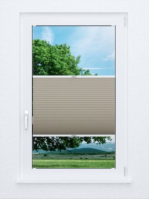 Wabe Halifax 70.03.14 Fensteransicht