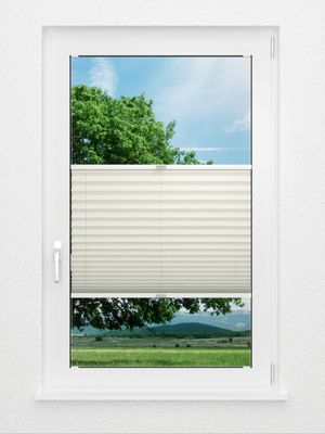 Plissee Basic Comfort 01.60.12 Fensteransicht