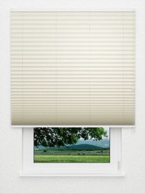 Preview Plissee Basic Comfort 01.60.12 3