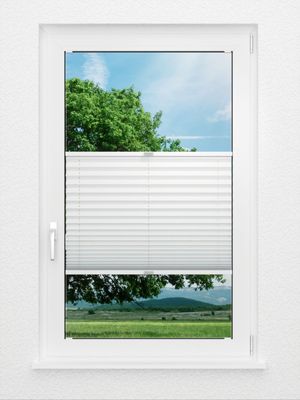 Plissee Basic Comfort 01.61.12 Fensteransicht
