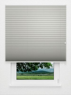 Preview Plissee Basic Comfort 01.62.12 3