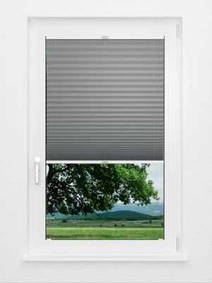 Preview Plissee Basic Comfort 13.54.12 1