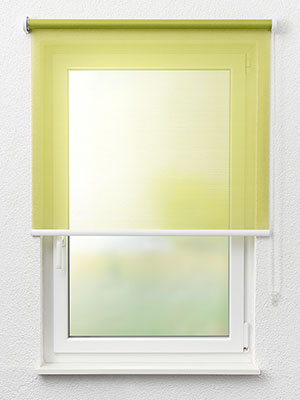 Rollo Trans Stripe 59.010 Fensteransicht