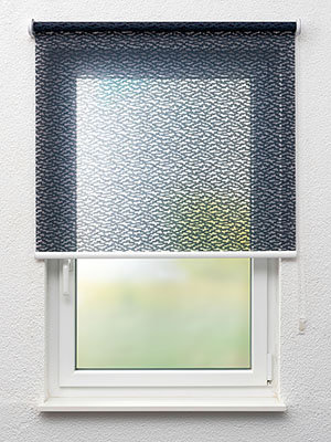 Rollo Light 30.710 Fensteransicht