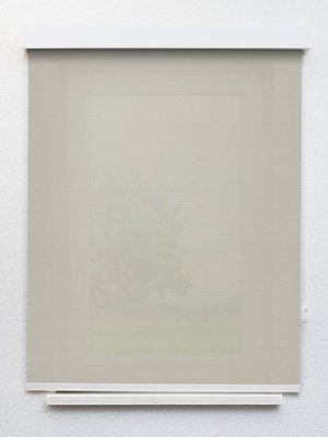 Preview Rollo Julia 31.040 1