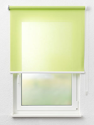 Rollo Shine 59.440 Fensteransicht