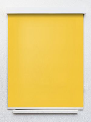 Preview Rollo Daily Uni 42.850 1