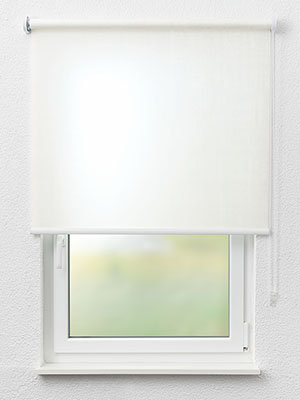 Rollo Putty 20.570 Fensteransicht