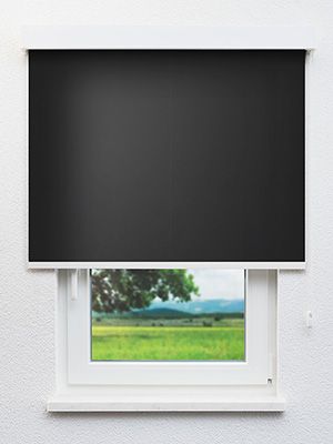 VD Rollo Privatex Dark 40.151 Fensteransicht