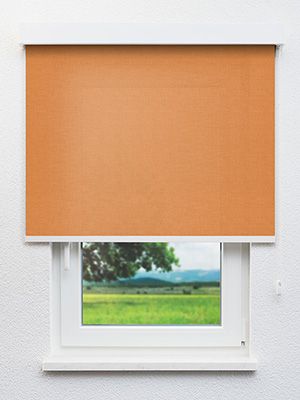 Rollo Clothy 72.861 Fensteransicht