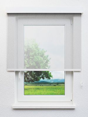 Rollo Soltis 12.822 Fensteransicht