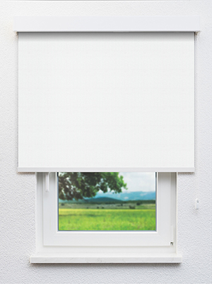 Naoro 13.52d Fensteransicht