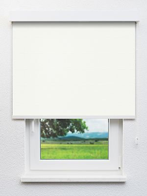 Mendi 55.52d Fensteransicht