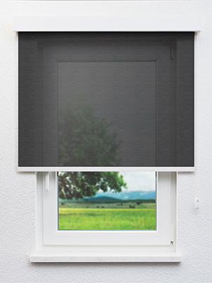 Black 22.62d Fensteransicht