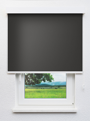 Midino 54.62d Fensteransicht