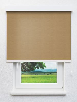 Locon 81.72d Fensteransicht