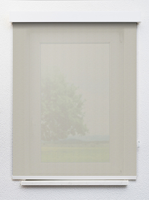 Preview Rakia 12.82d 1