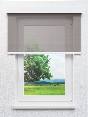 Preview Padroso 44.82d 2