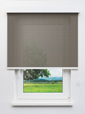 Gandaras 94.82d Fensteransicht