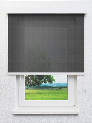 Grey 05.82d Fensteransicht