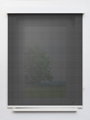 Preview Grey 05.82d 1