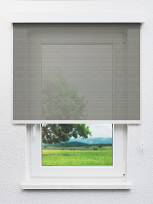 Grey 25.82d Fensteransicht