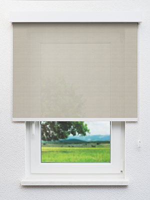 Avelin 55.82d Fensteransicht