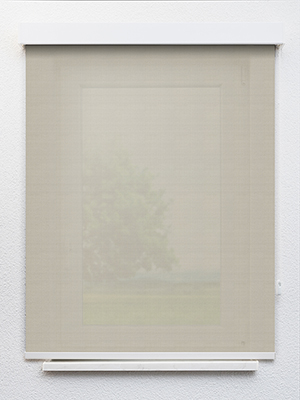 Preview Avelin 55.82d 1