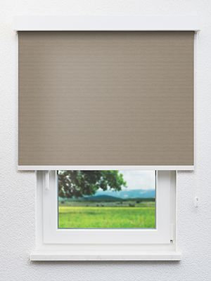 Masusu 90.92d Fensteransicht